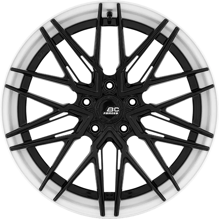 Gloss Black + White Barrel