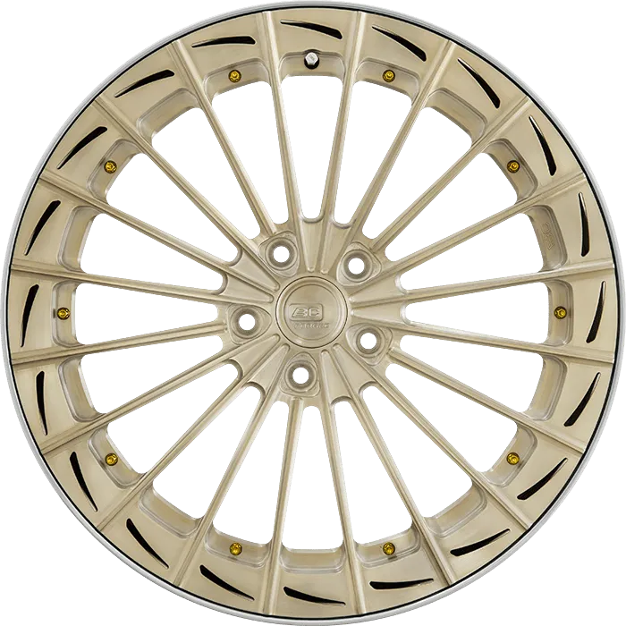 Brushed Champagne + Polished Barrel