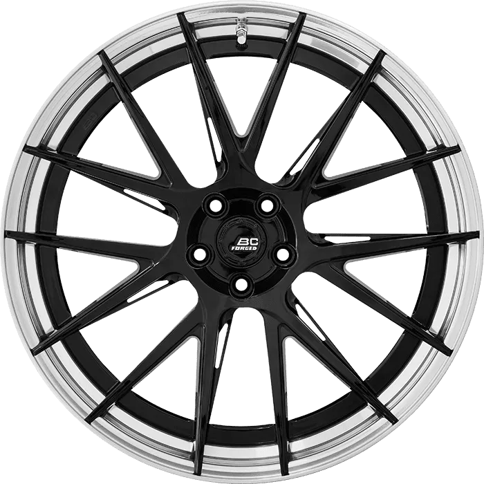 Gloss Black + Polished Barrel