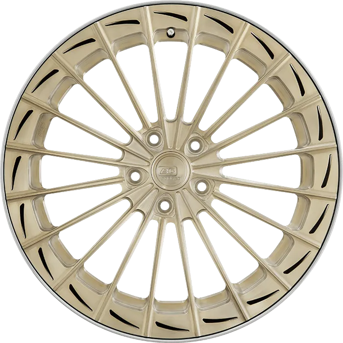 Brushed Champagne + Polished Barrel