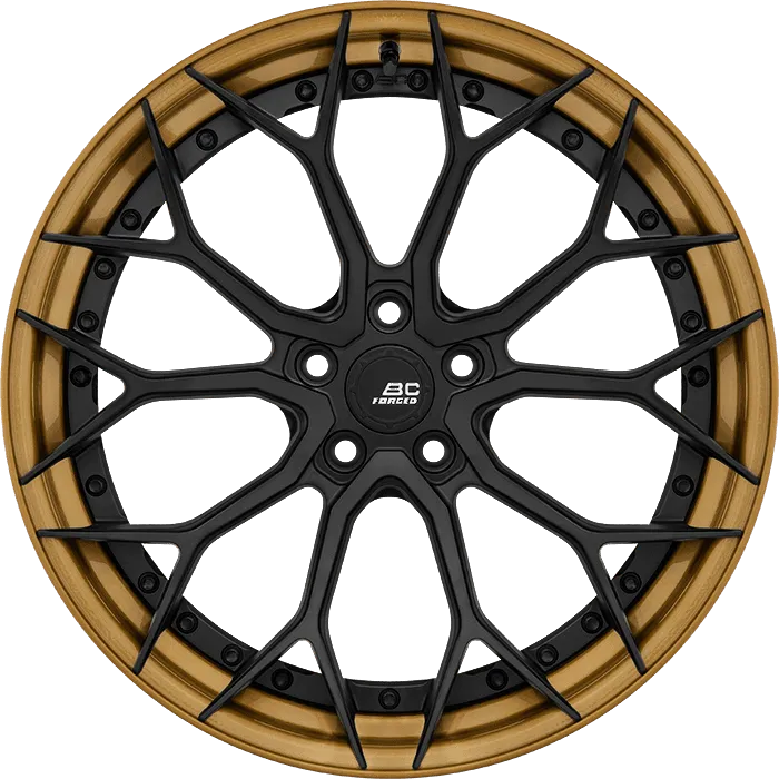 Gloss Black + Gloss Bronze Gold Barrel