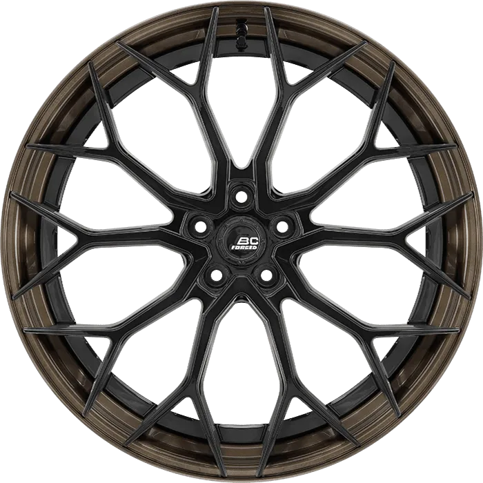 Gloss Black + Satin Bronze Barrel