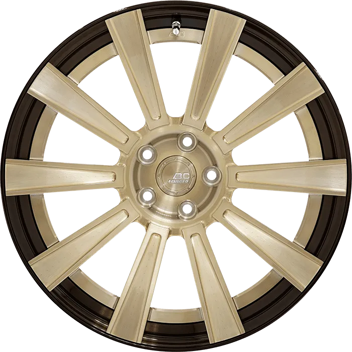 Gloss Champagne Gold + Gloss Black Barrel