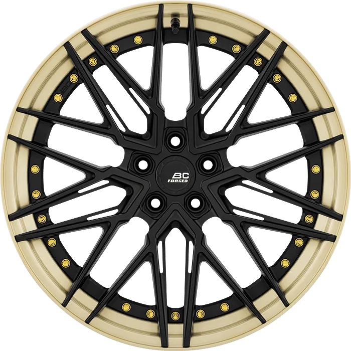 Matte Black + Gloss Champagne Gold Barrel