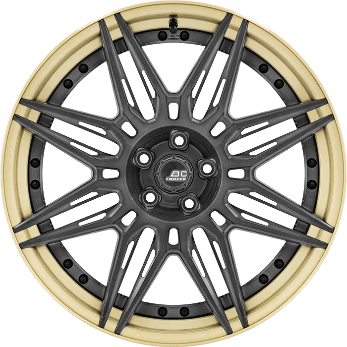 Matte Graphite + Gloss Champagne Gold Barrel
