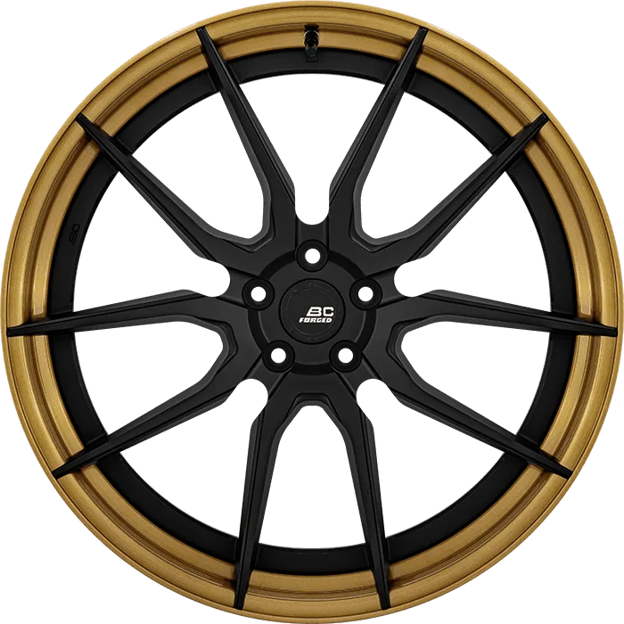 Gloss Black + Satin Bronze Barrel