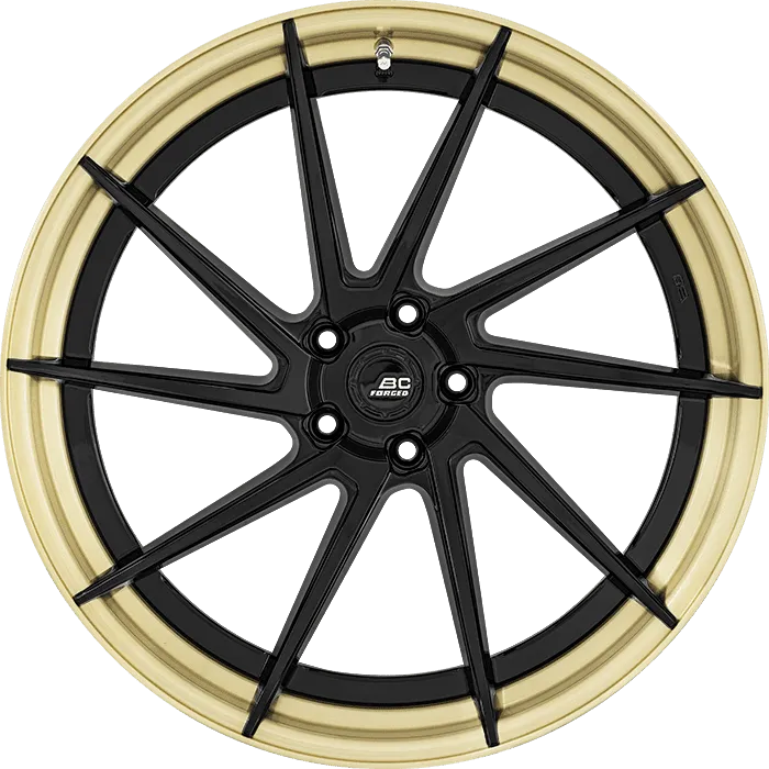 Matte Black + Gloss Champagne Gold Barrel