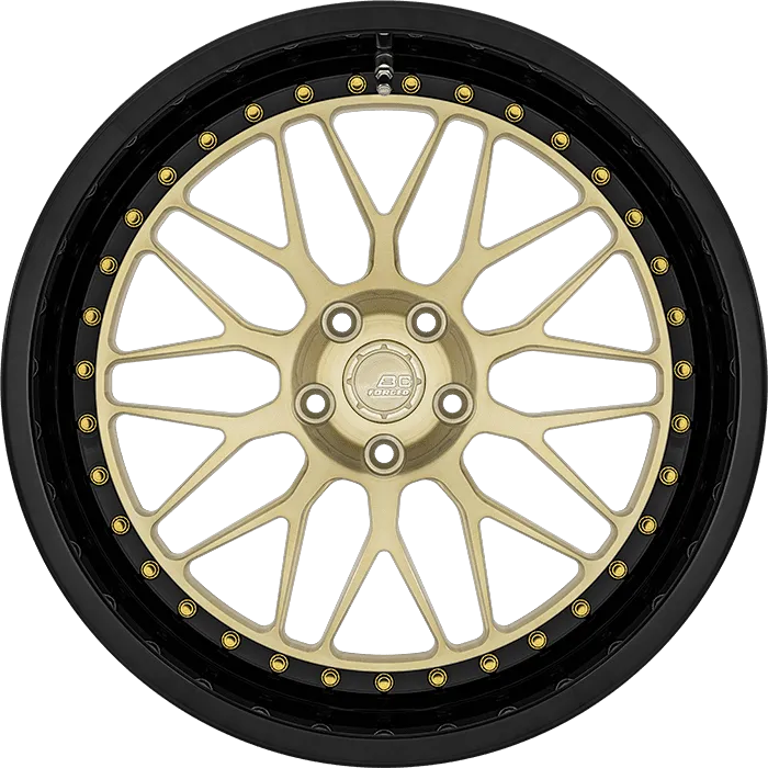 Gloss Champagne Gold + Gloss Black Barrel