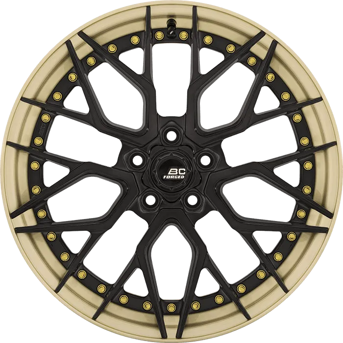 Gloss Black + Gloss Champagne Gold Barrel
