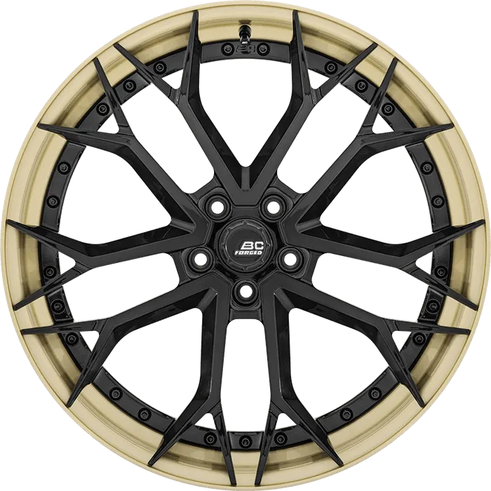Gloss Black + Gloss Champagne Gold Barrel
