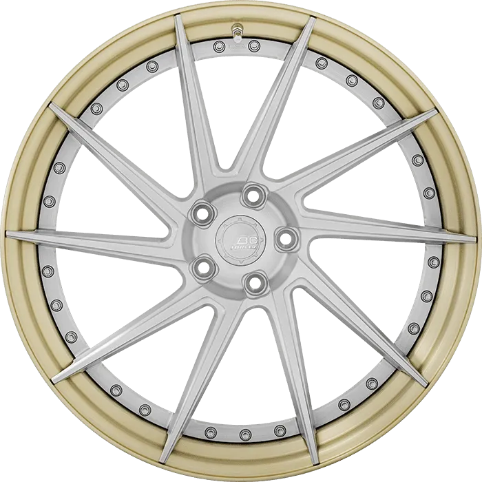 Brushed Silver + Gloss Champagne Gold Barrel