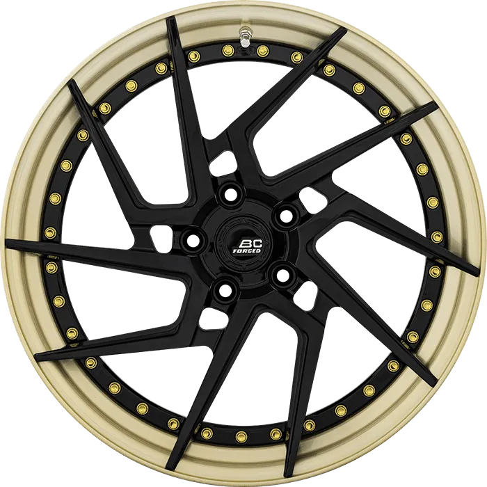 Matte Black + Gloss Champagne Gold Barrel