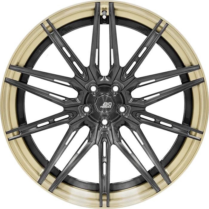 Matte Graphite + Gloss Champagne Gold Barrel