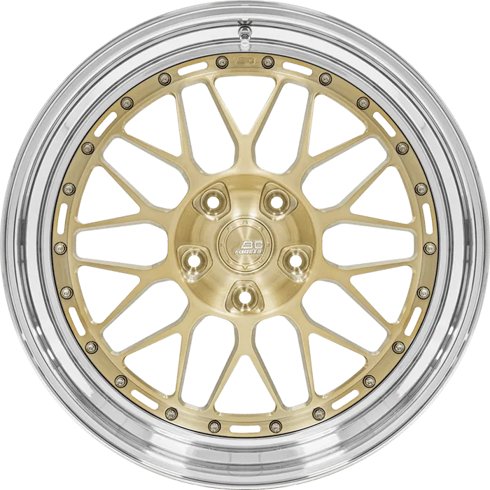 Gloss Champagne Gold + Polished Lip