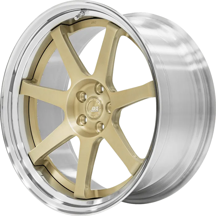 DF-Z1