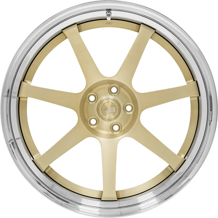 DF-Z1