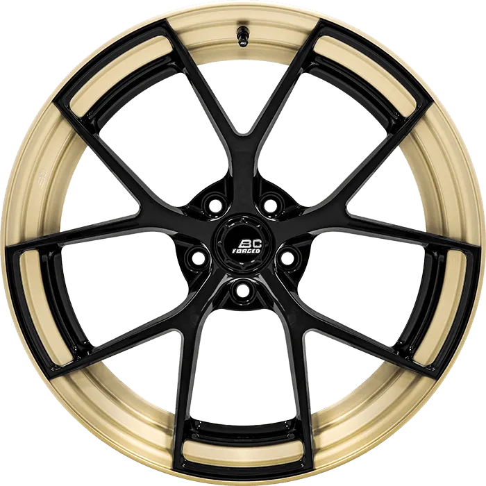Gloss Black + Gloss Champagne Gold Barrel