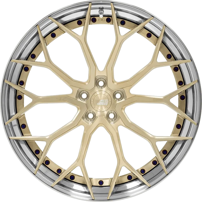 Satin Champagne + Polished Barrel