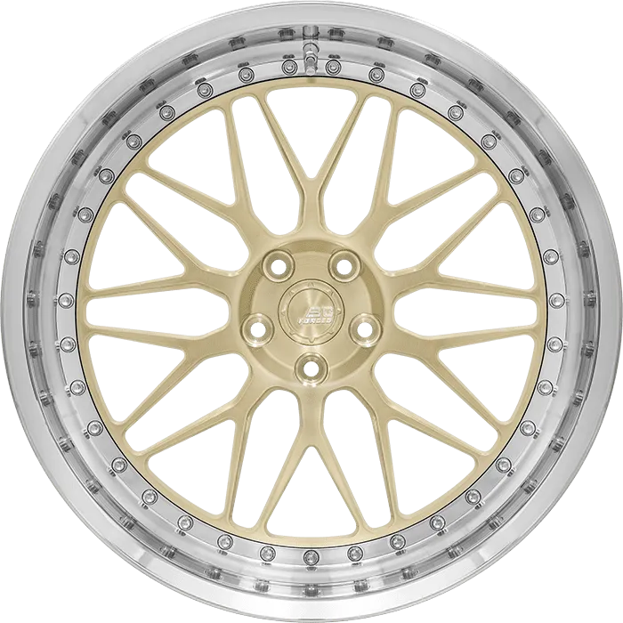 LE81