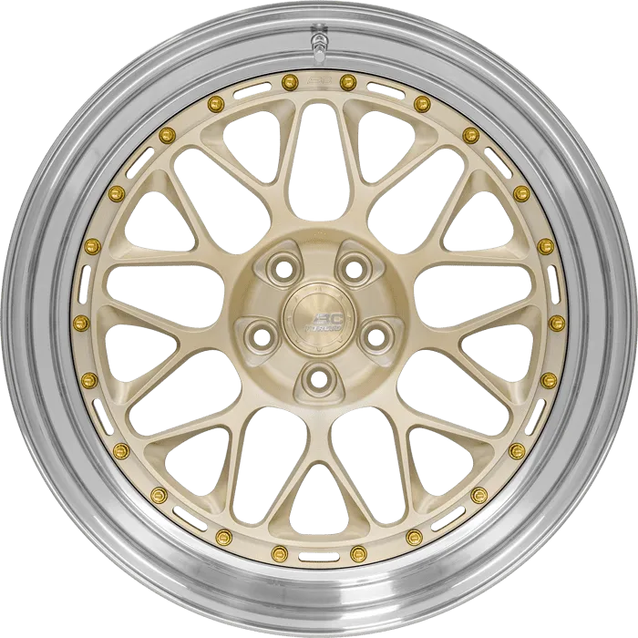 Gloss Champagne Gold + Polished Lip