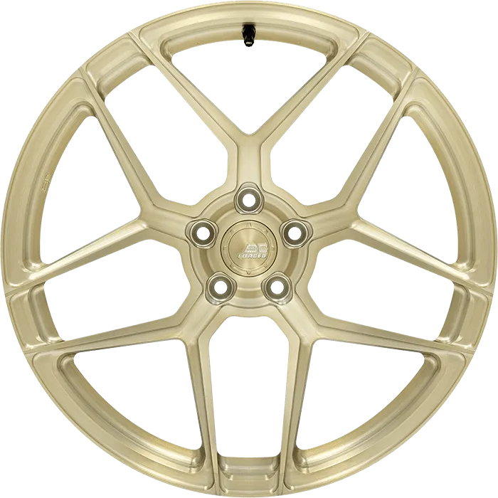 Matte Champagne Gold