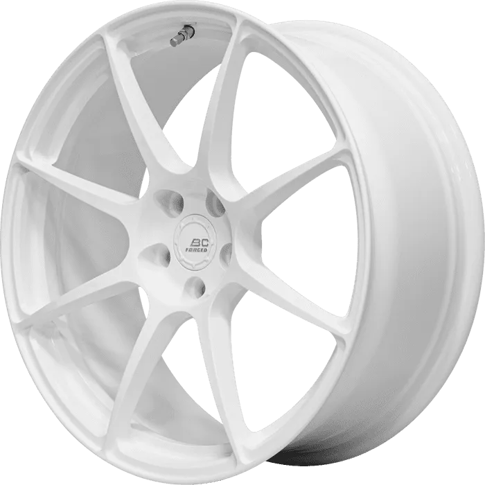 RS31