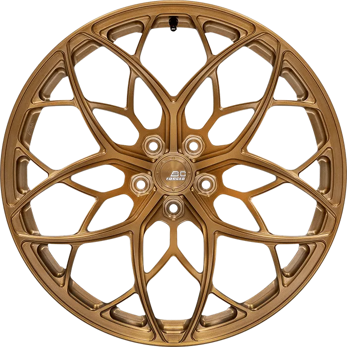 RZ24